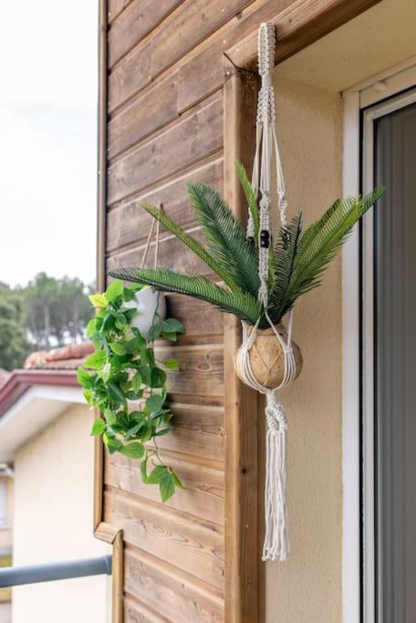 Appartement Des Grands Lacs Sanguinet Ngoại thất bức ảnh